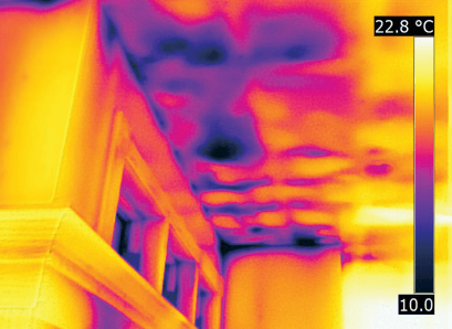 FLIR thermal camera screenshot 2